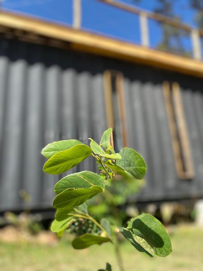 Hospedaria Boca Do Mato - Container Mambaí المظهر الخارجي الصورة