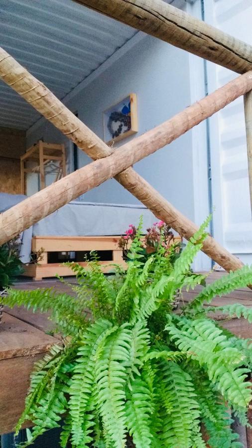 Hospedaria Boca Do Mato - Container Mambaí المظهر الخارجي الصورة